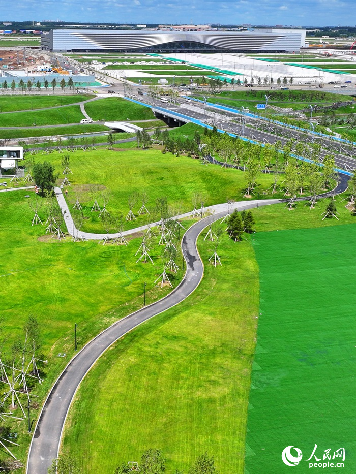 長春國際航空博覽城藍天公園內草坪已鋪設完成。人民網記者 李洋攝