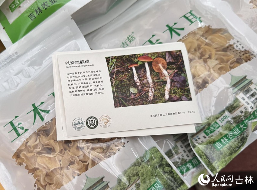用“蘑菇紙”制成的明信片。人民網記者 李思玥攝