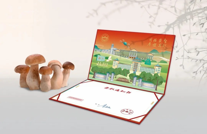 吉林農業大學可食用的“蘑菇錄取通知書”。吉林農業大學供圖