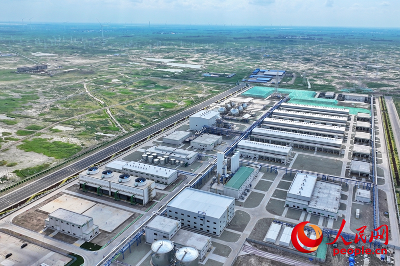 7月26日，吉林大安風光制綠氫合成氨一體化示范項目正式投產。人民網記者 李洋攝
