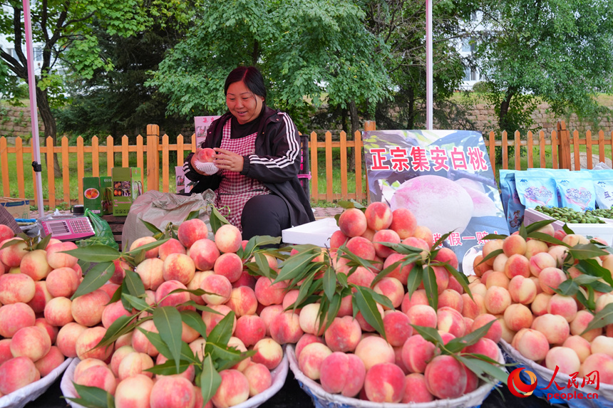 近年來，代表著“集安風味”的白桃、藍莓撐起了當地農民的“錢袋子”，也讓早市的豐收色彩更添視覺沖擊。人民網記者 李洋攝