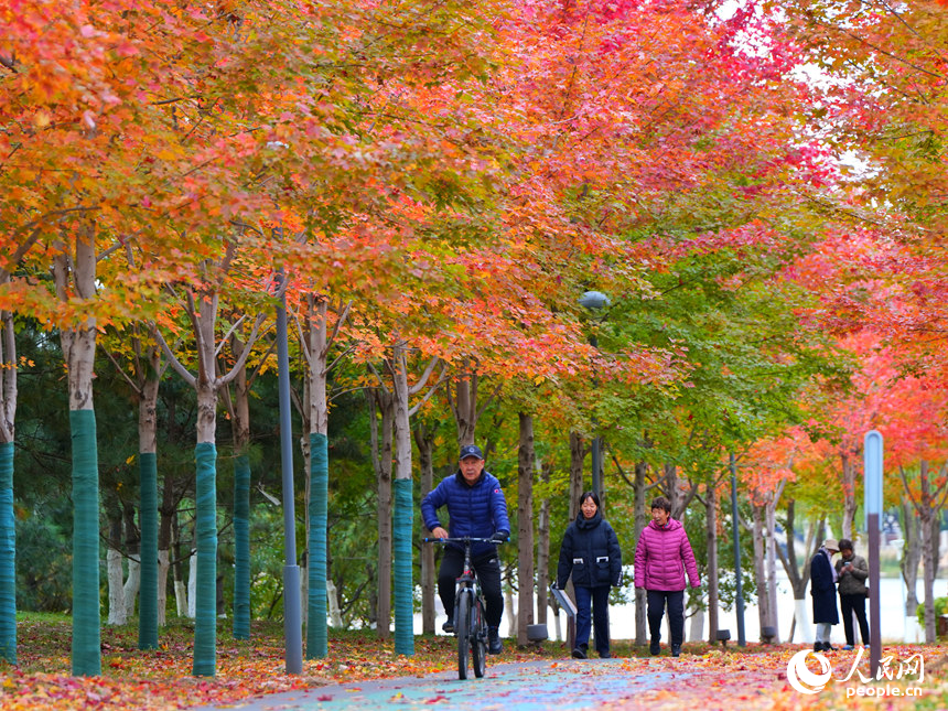 游客在月荷文化園賞秋。人民網記者 李洋攝