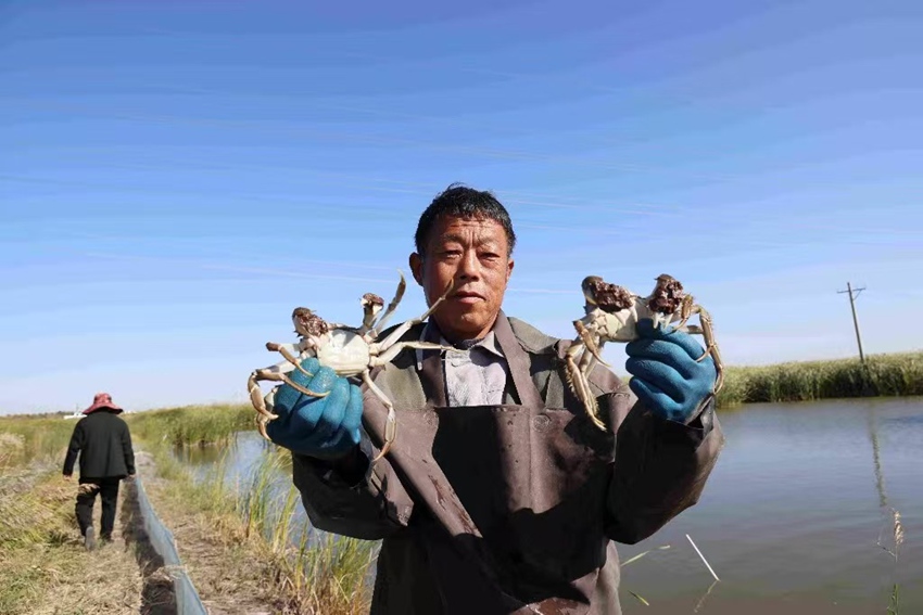 糧漁雙收，農戶增收（受訪者供圖）