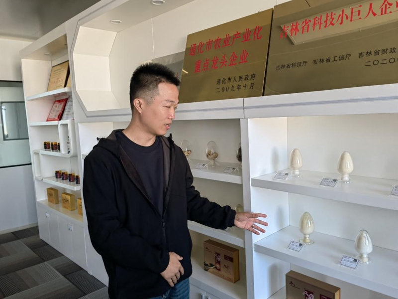 楊國棟介紹人參產品。人民網記者 馬俊華攝