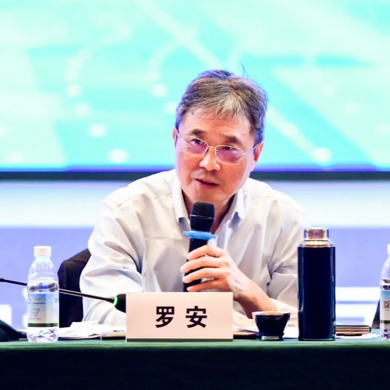 羅安發言